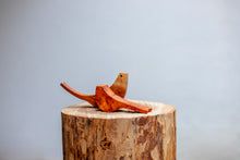 Carica l'immagine nel visualizzatore di Gallery, Rondini