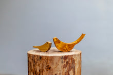 Carica l'immagine nel visualizzatore di Gallery, Rondini