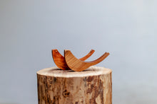 Carica l'immagine nel visualizzatore di Gallery, Rondini