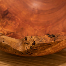 Carica l'immagine nel visualizzatore di Gallery, Ciotola in galla di Eucalipto