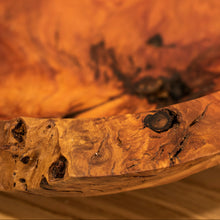Carica l'immagine nel visualizzatore di Gallery, Ciotola in galla di Eucalipto