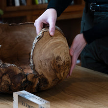 Carica l'immagine nel visualizzatore di Gallery, Ciotola in galla di Ulivo Salentino