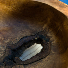 Carica l'immagine nel visualizzatore di Gallery, Ciotola in Farnia