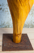 Carica l'immagine nel visualizzatore di Gallery, Come Fiori